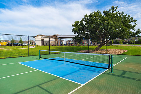 Pickleball Court